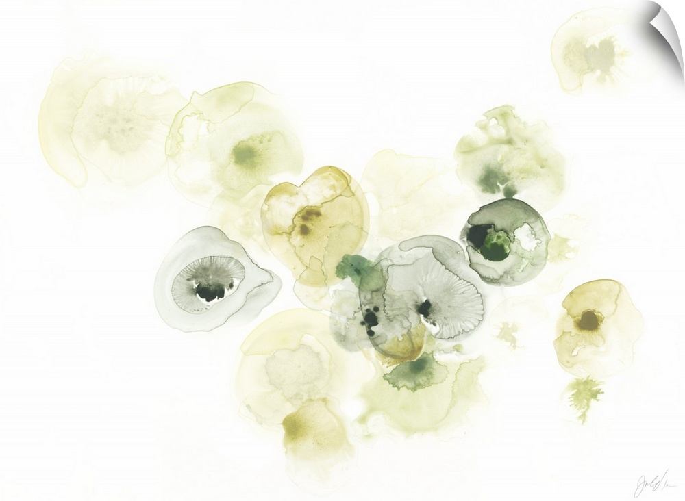 This decorative art features green and yellow watercolor droplets to form lichen like shapes on a white background.