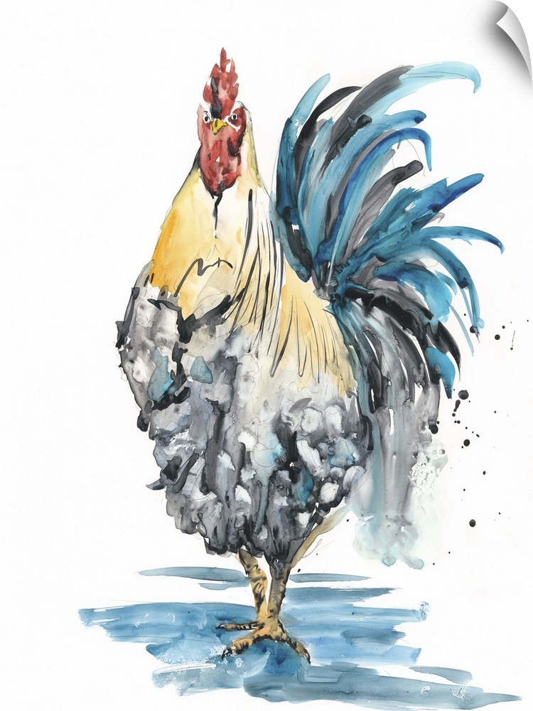Contemporary watercolor painting of a rooster splashing in a puddle.