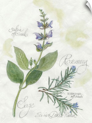 Rosemary And Sage