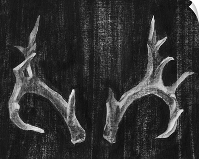 Rustic Antlers I