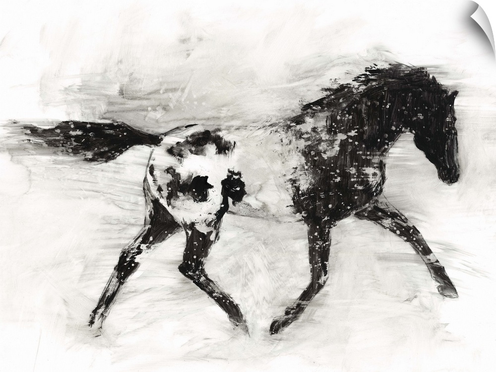Black and white painting of a galloping appaloosa horse.