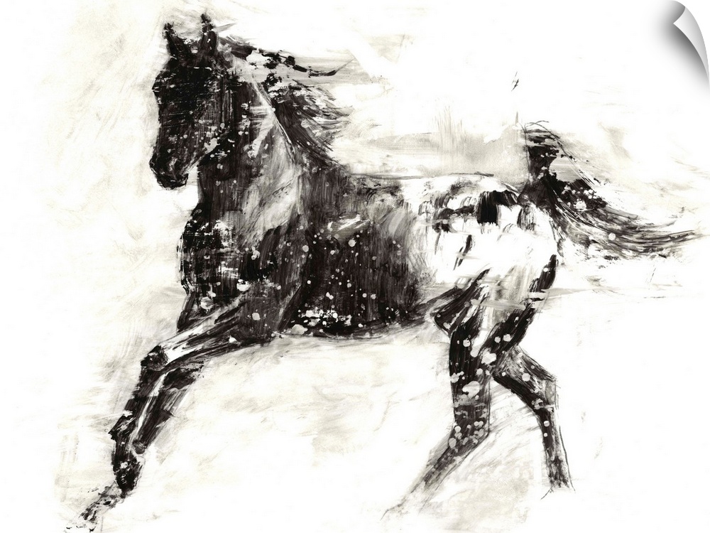 Black and white painting of a galloping appaloosa horse.