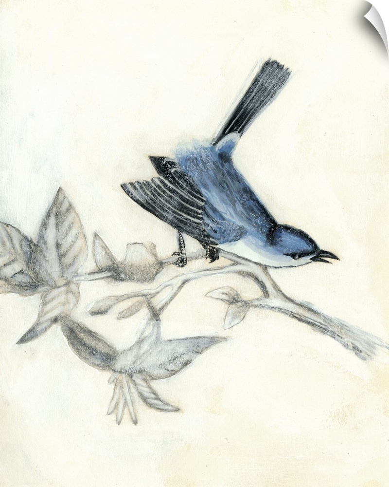 Vintage illustration of a bird on a branch.