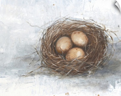 Rustic Bird Nest II