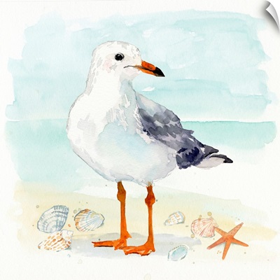 Sandy The Seagull I