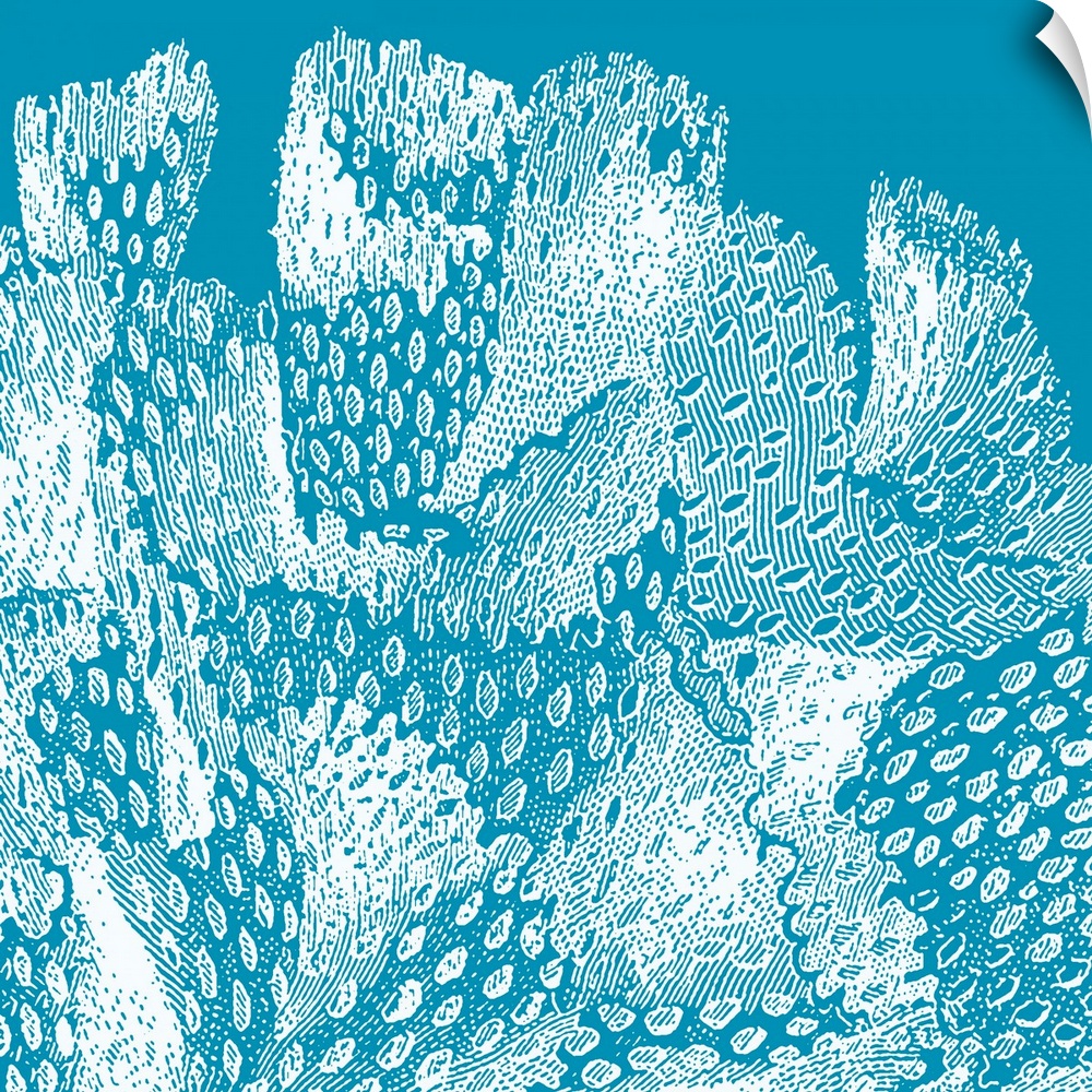 Square wall art featuring outlines of coral in white on a bright aqua background