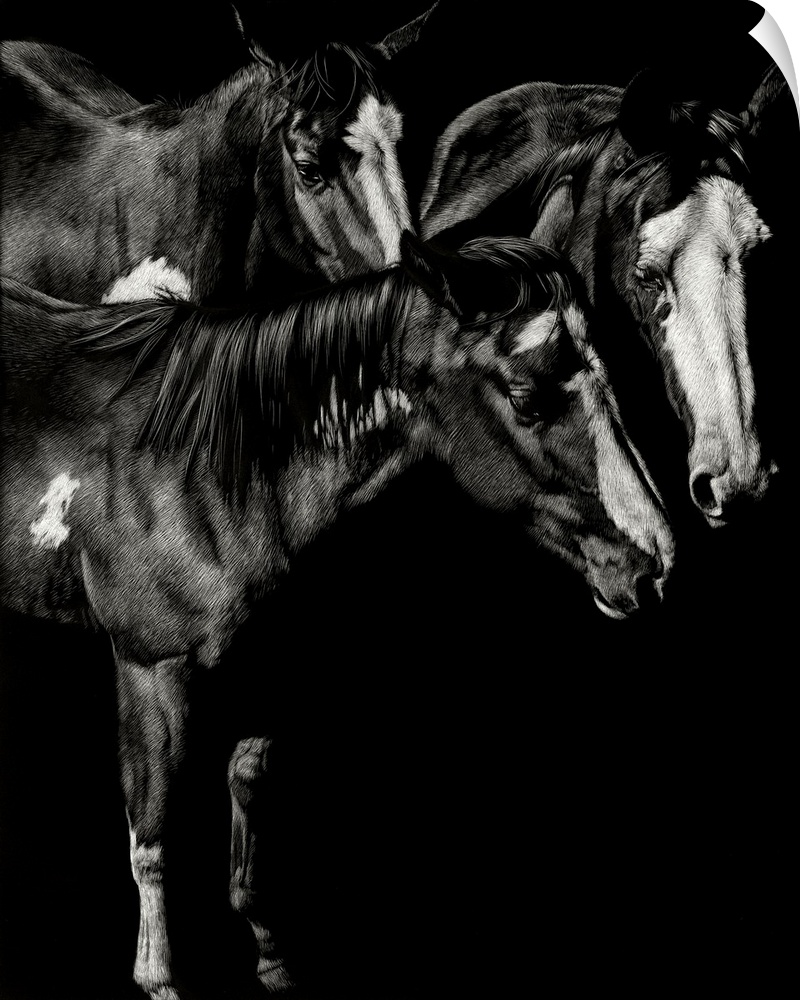 Black and white illustration of three horses standing together.