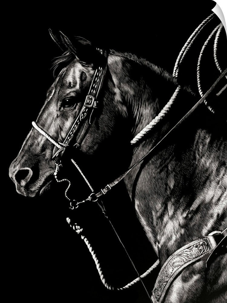 Black and white lifelike illustration of a horse with a lasso in the background.