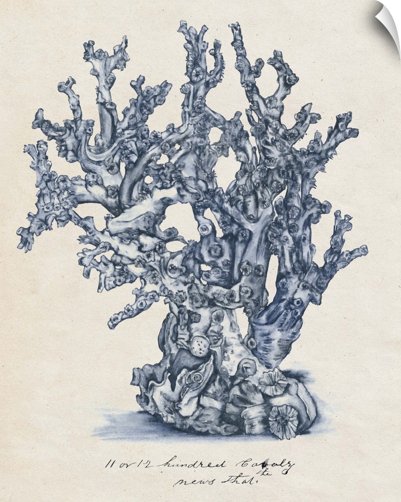 A watercolor illustration of details of coral in blue against a beige backdrop.