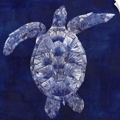 Sea Turtle Shadow II