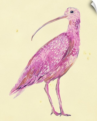 Seabird II