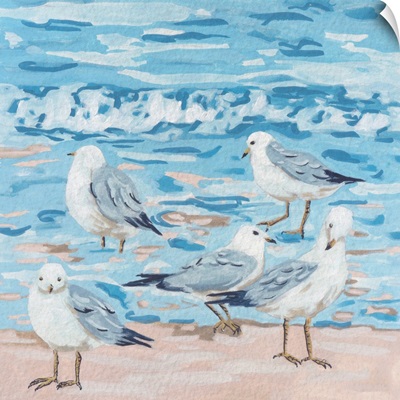 Seagull Birds II