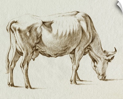 Sepia Grazing Cow Sketch I