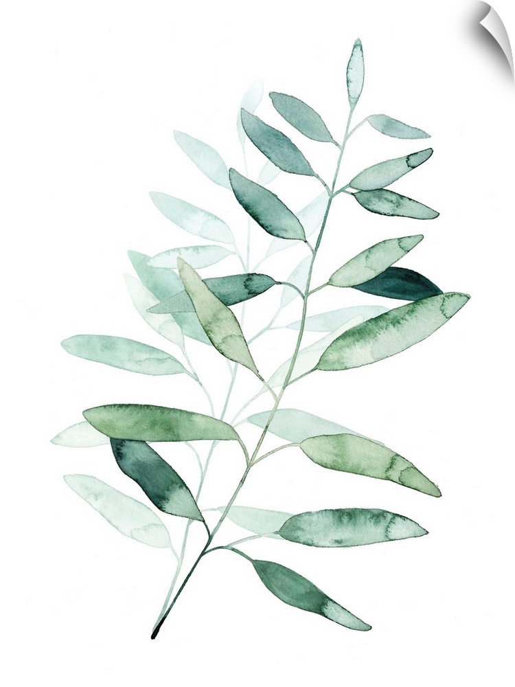 Watercolor artwork of a plant with pale green leaves.