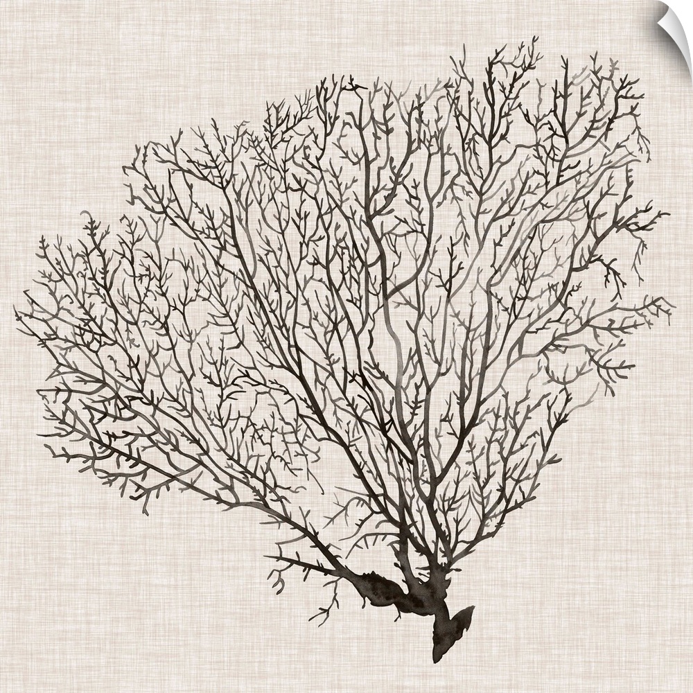 Contemporary decor artwork of a coral sea fan in black against a textured background.