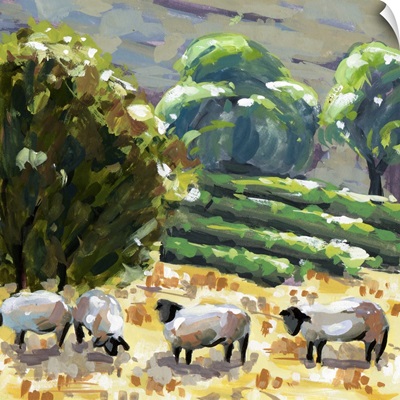 Sheep In Summer I