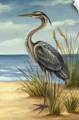 Shore Bird II