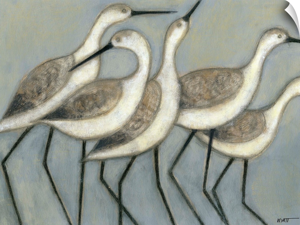 A group of wader birds stand next to each other against a cool toned background.