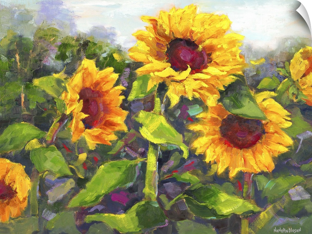 Contemporary painting of a group of bright sunflowers in bloom.