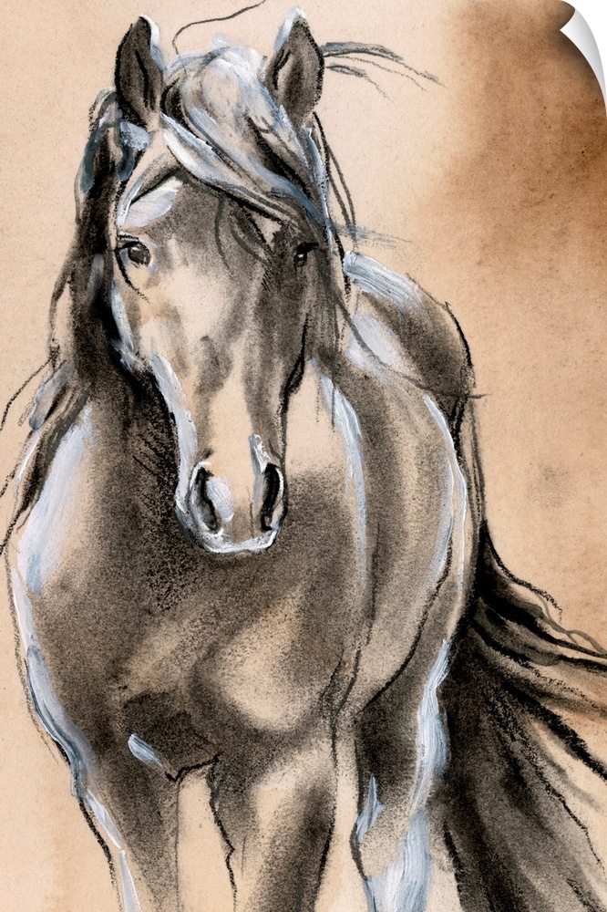 Sketched Horse II