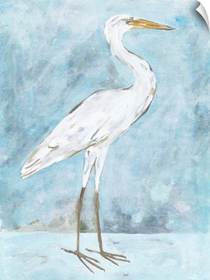 Snowy Egret II
