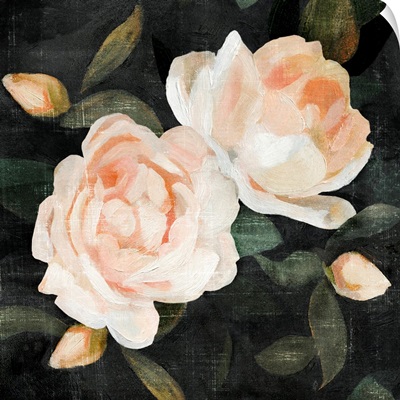 Soft Garden Roses II