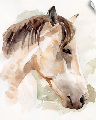 Soft Horse Profile I