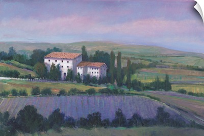 Soft Lavender Fields I