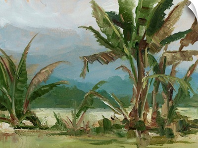 Southern Palms II