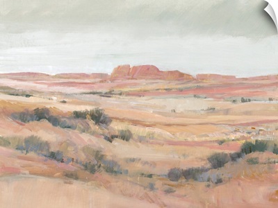 Southwest Landscape II
