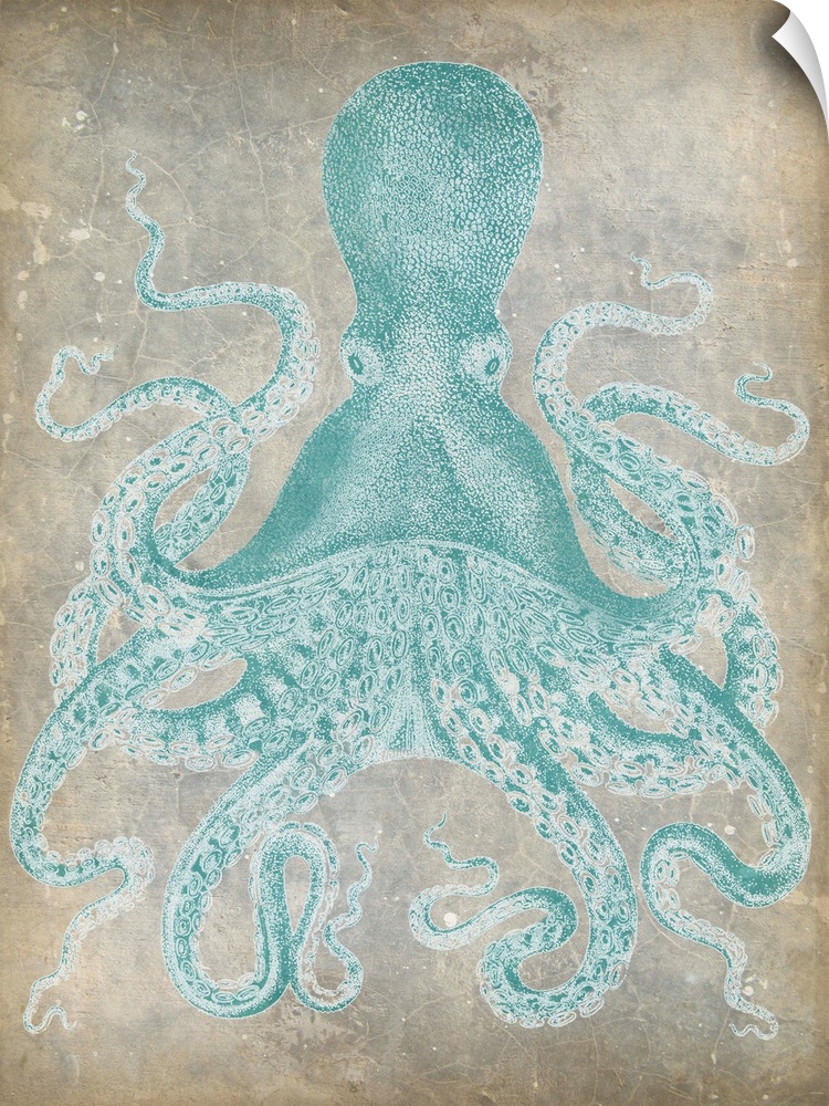 Vintage stylized octopus in a pale blue against a neutral background.