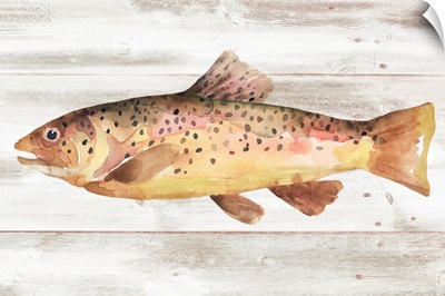Spotted Trout I