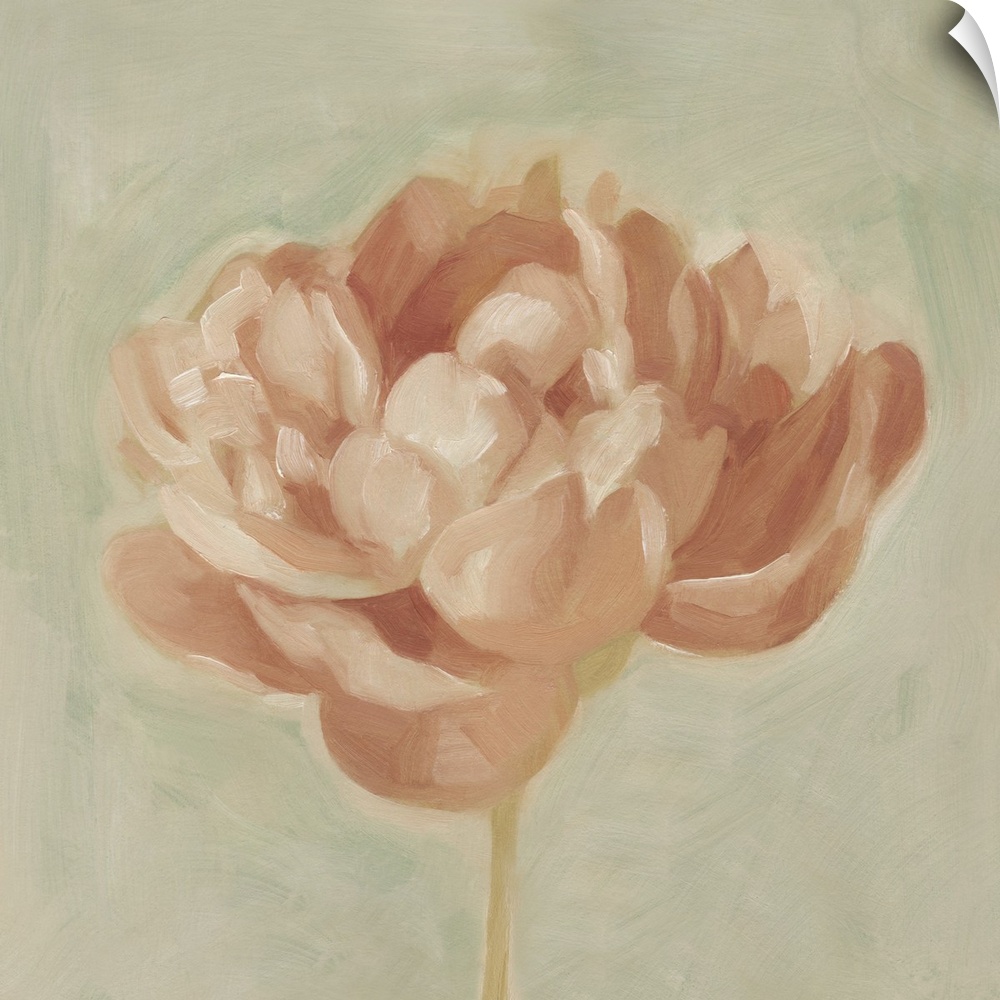 Contemporary artwork of a peony flower in subdued pink tones.