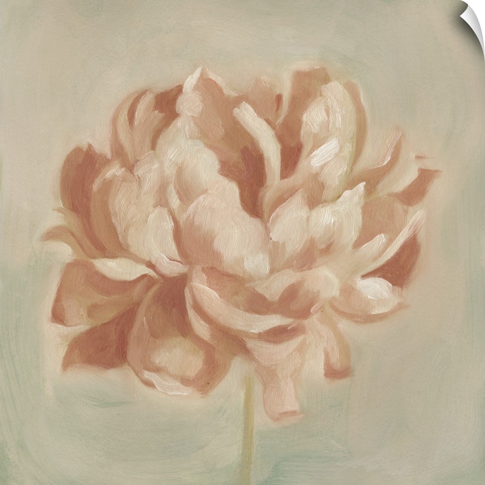 Contemporary artwork of a peony flower in subdued pink tones.