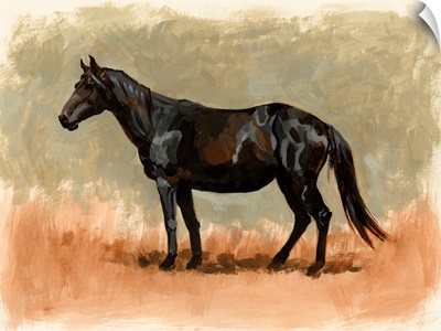 Standing Horse Study II