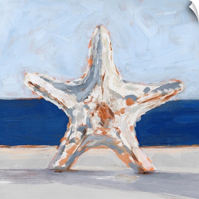 Starfish By The Sea