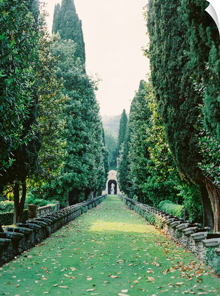 Photograph taken between an avenue of tall trees with a statue at the far end, Lake Como, Italy.