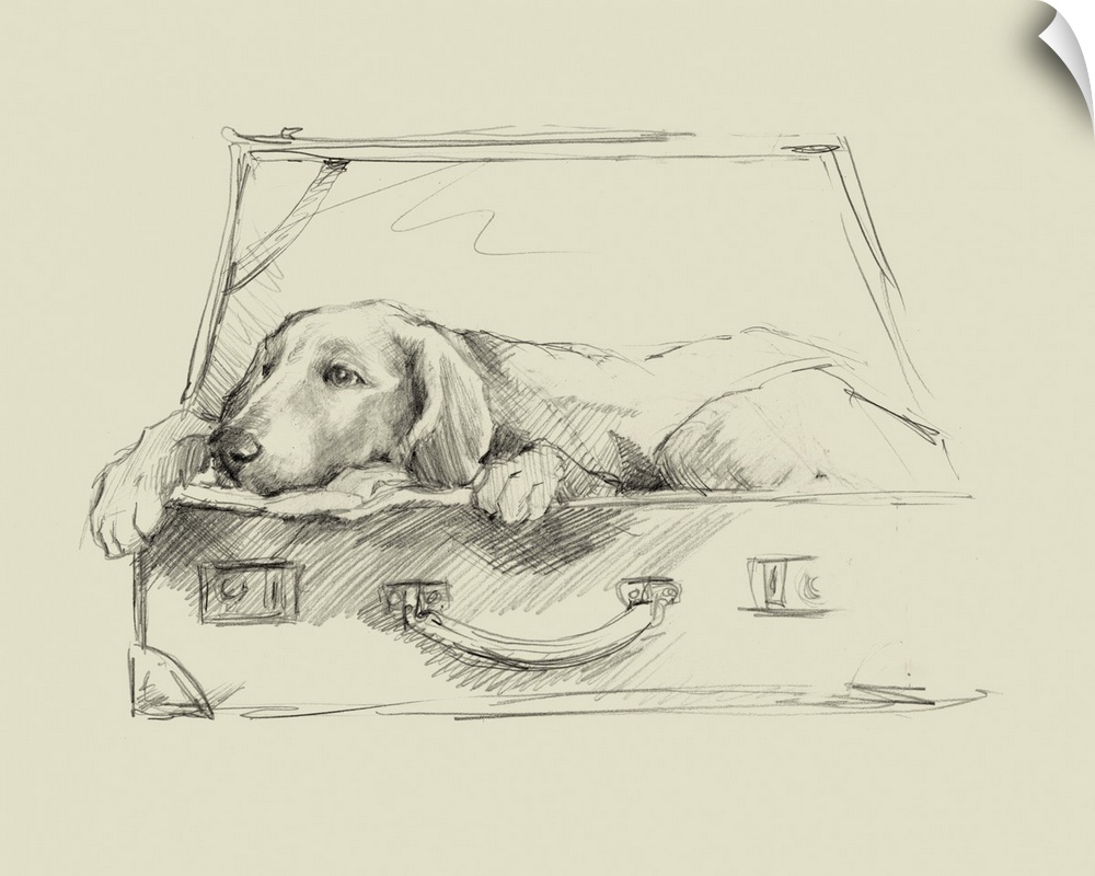 Sketch style illustration of a dog laying in an open suitcase.