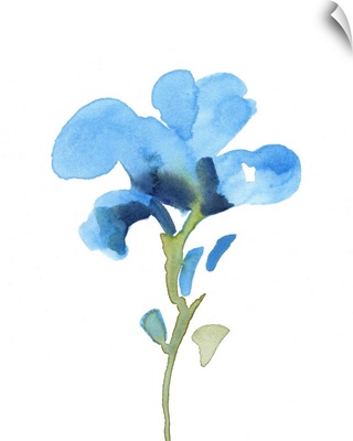 Striking Blue Iris I