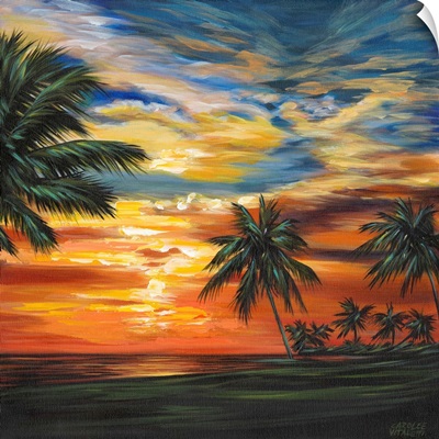 Stunning Tropical Sunset II