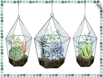 Succulent Swatch Collection A
