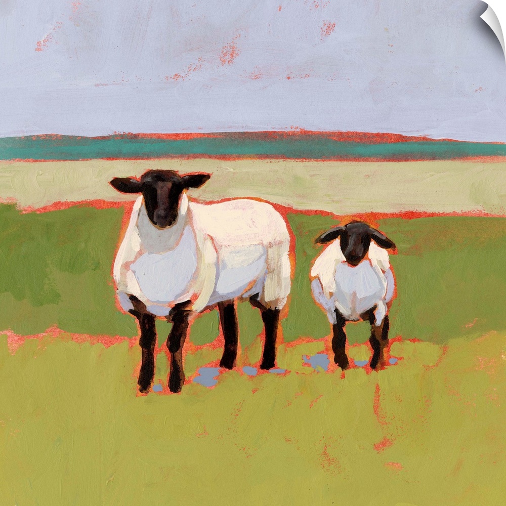 Suffolk Sheep I