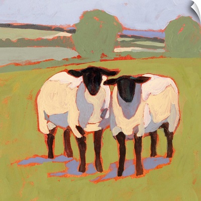Suffolk Sheep III