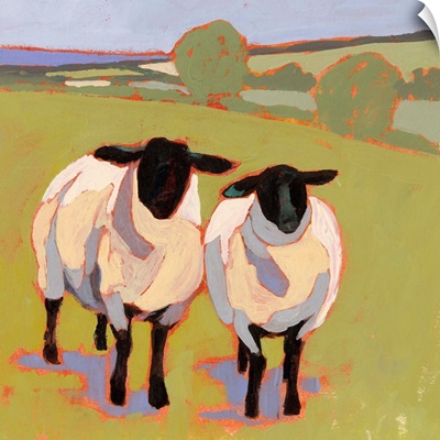 Suffolk Sheep IV