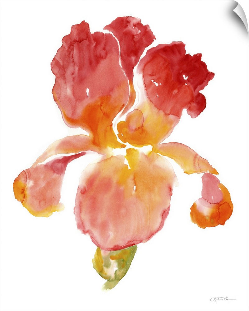 Contemporary watercolor painting of a flower in warm red and orange tones.