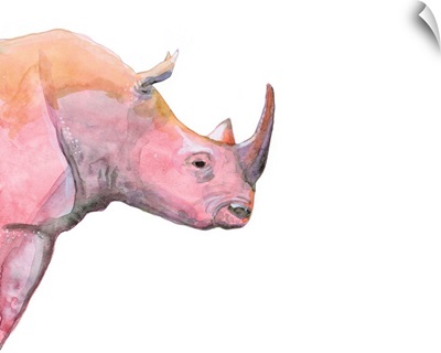 Rhinoceros Wall Art & Canvas Prints, Rhinoceros Panoramic Photos, Posters,  Photography, Wall Art, Framed Prints & More