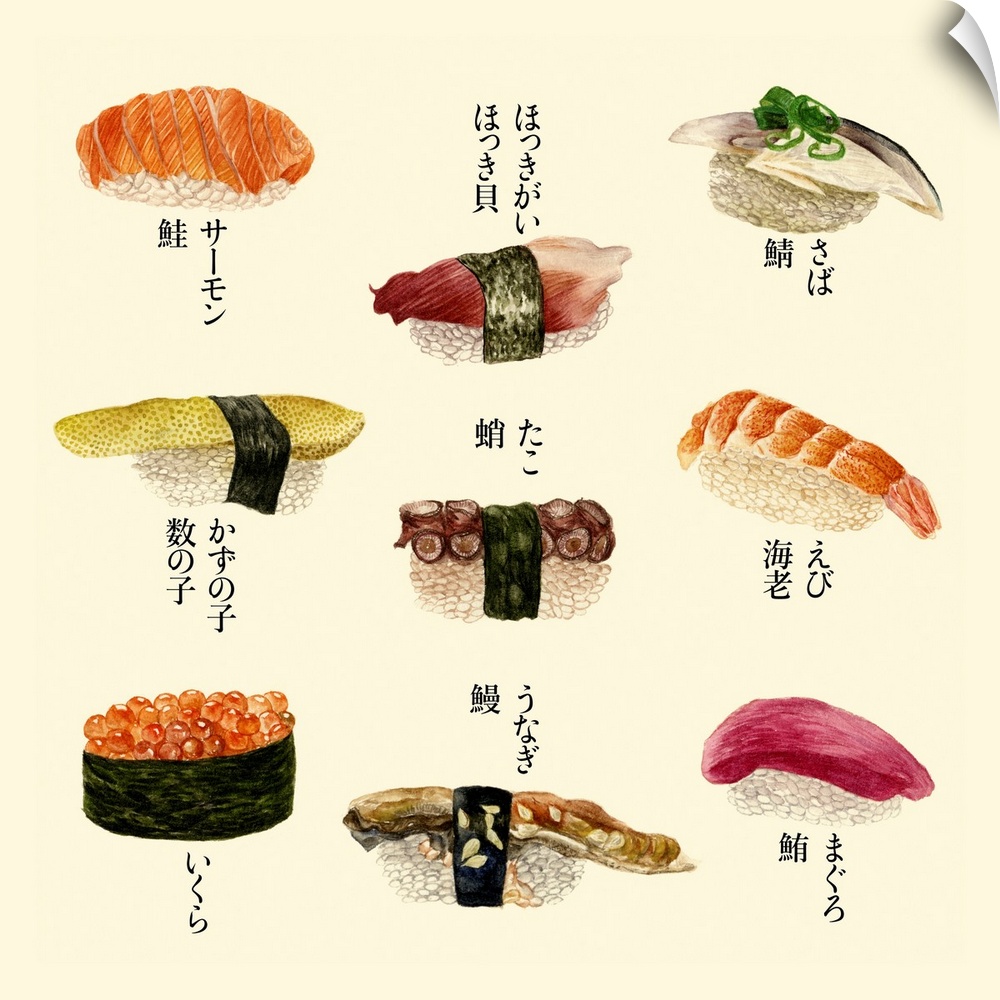 An variety of sushi rolls with Japanese text with different fish, eel, and roe.