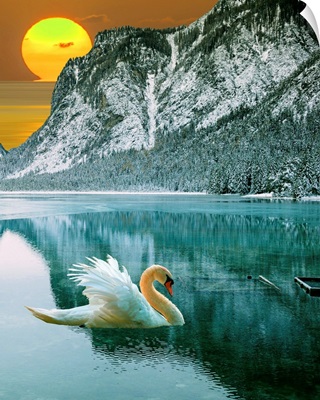 Swan At Dawn II