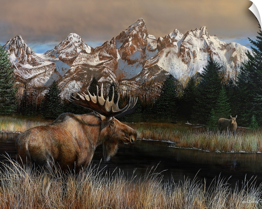 Painting of a moose standing in tall grass next to a river with a rugged mountain range in the background.