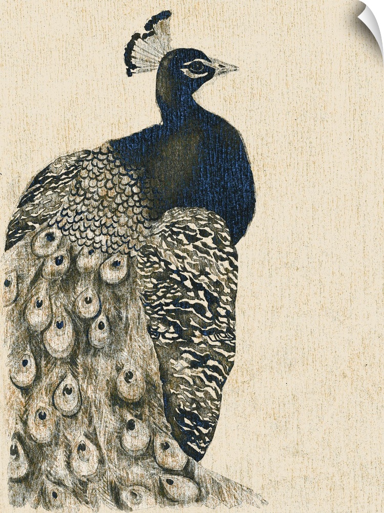 Illustration of a peacock with detailed tail feathers.